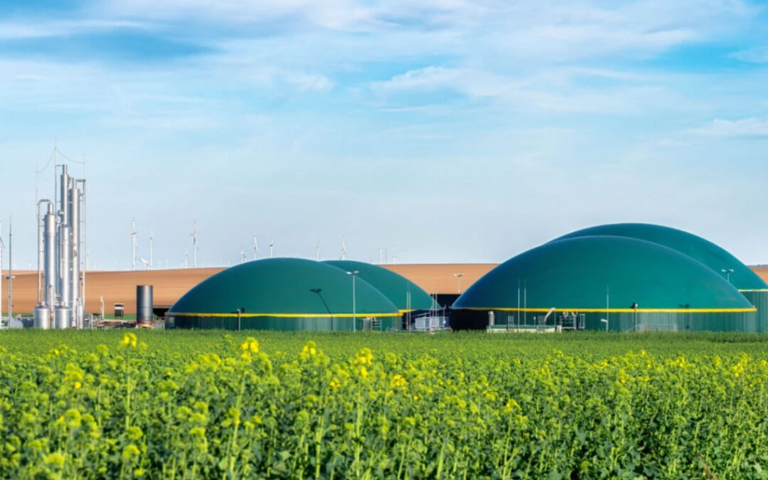 ACT/Karataş: Yek-G sertifikasının kapsamı biyometanı da içerebilir