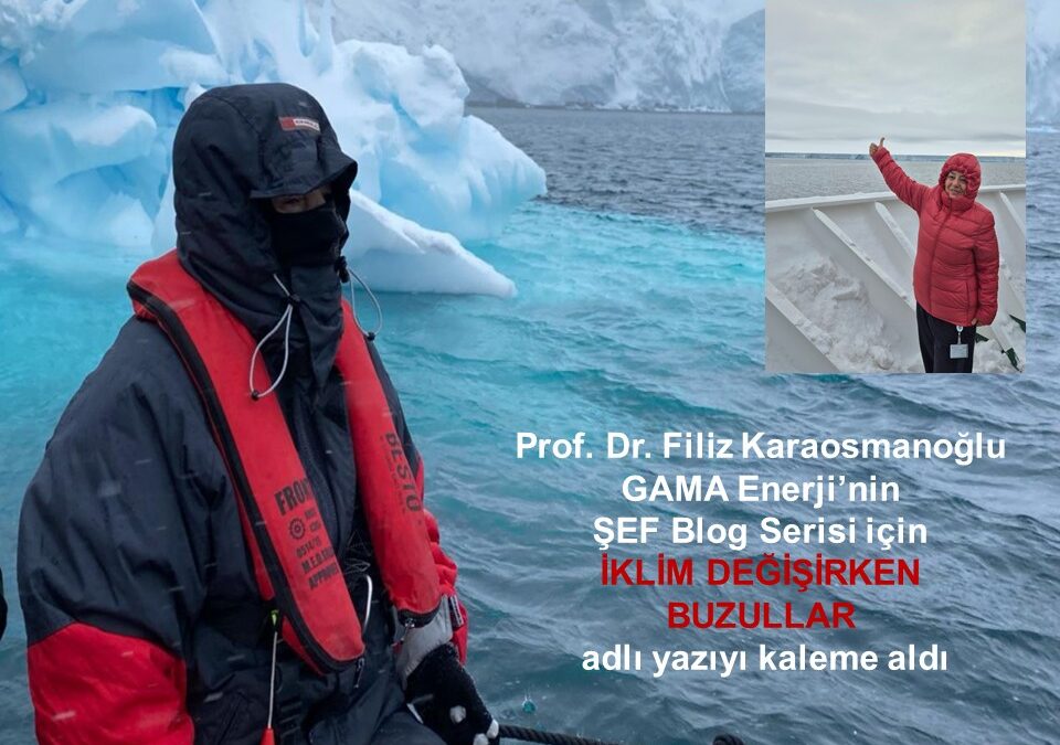 İklim Değişirken Buzullar, Prof. Dr. Filiz Karaosmanoğlu