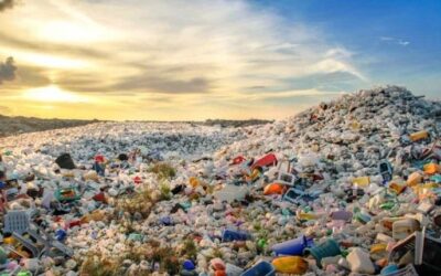 Karaosmanoğlu: Atık plastikte enerji gizli