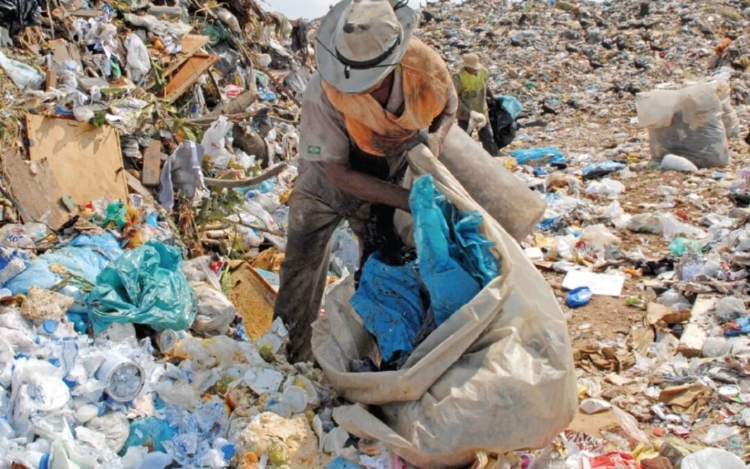 Ekosistemler plastik kirliliği tehdidi altında