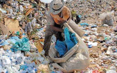 Ekosistemler plastik kirliliği tehdidi altında